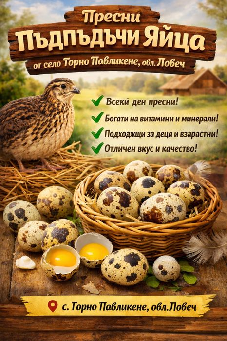 Пъдпъдъци и яйца