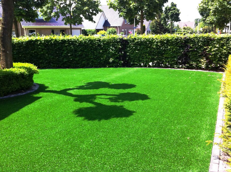 GAZON RULOU Sport - Craiova