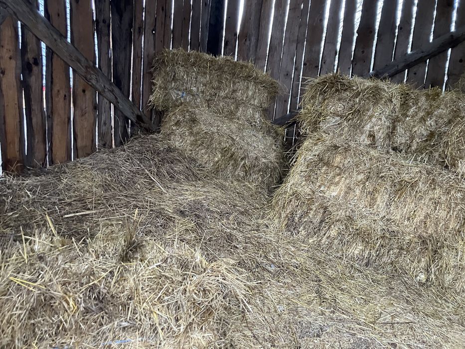 Vand baloti de fan in Sighet