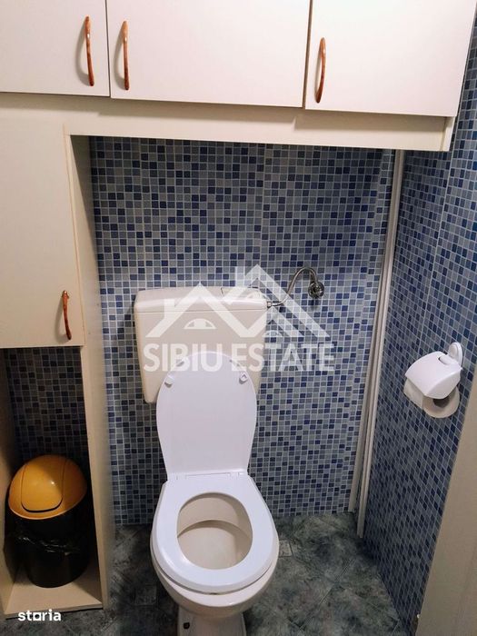 Cabană cu teren și pomi fructiferi Tropinii Noi ,Sibiu