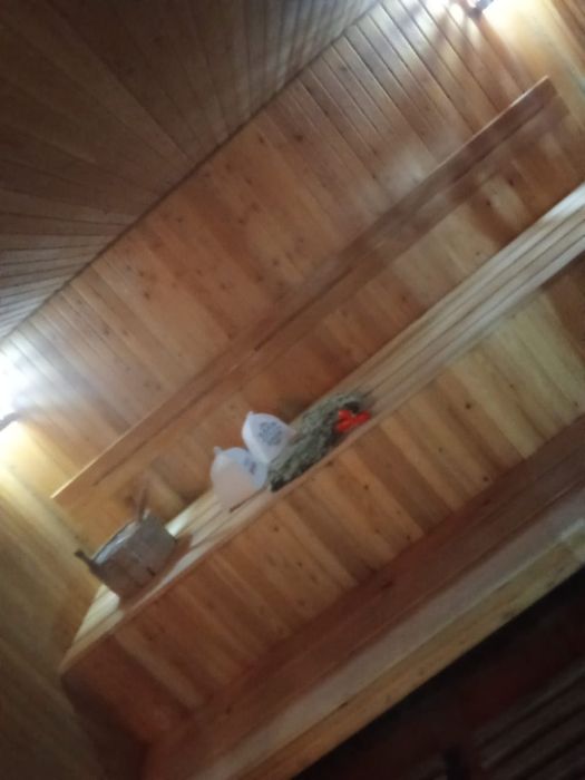 Сауна/Спа/Массаж