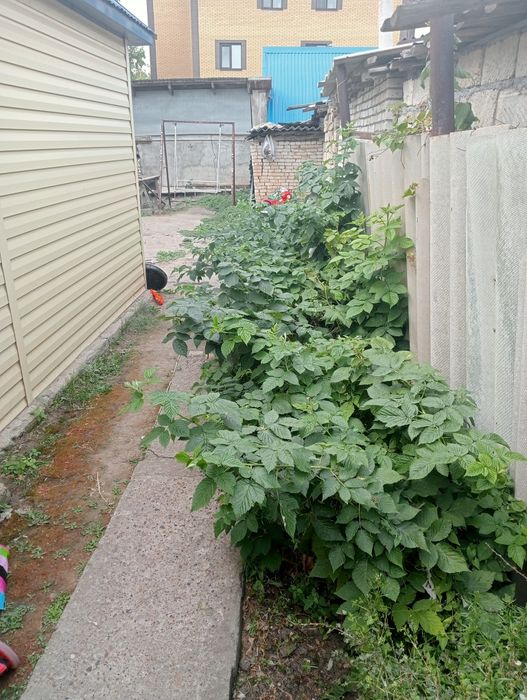 Продам дом  в центре города