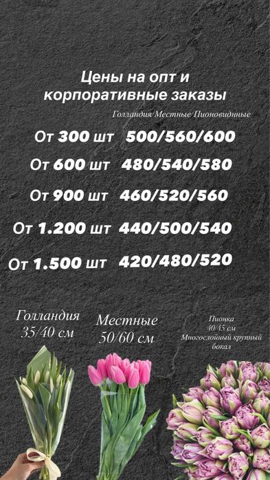 Продажа тюльпанов