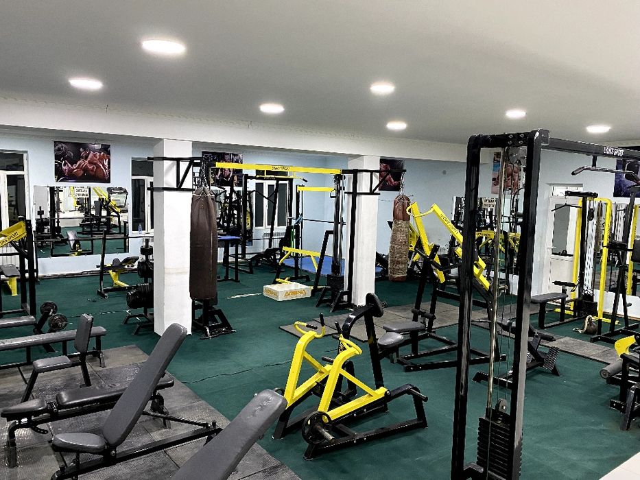 Trinajorlar optim sotaman