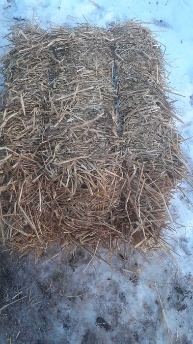 De vanzare baloti de paie pret 7 lei balotu