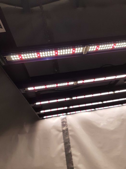 LUMATEK ZEUS 600W PRO 2.9 led grow light