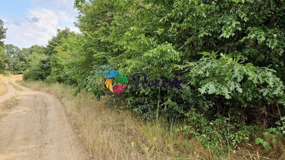 Продава се Парцел в с. Здравец, Област Варна - 2000 кв.м за 9 €/кв.м - Снимка #1