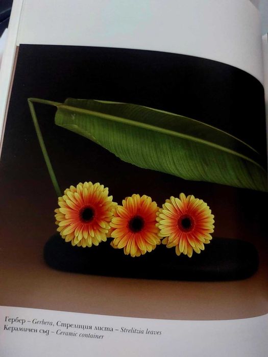 Икебана- Рима Мирска