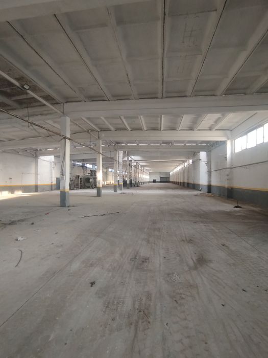 Нотурар жой ижарага берилади 3200 КВ м