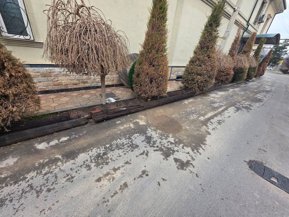 Ёгоч сталба сотилади 5дона