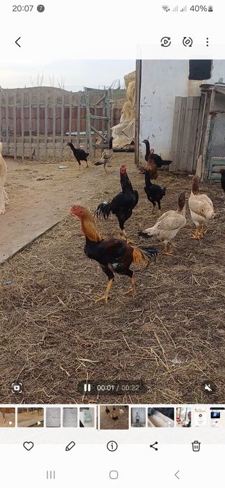 samsyng a34 ултра