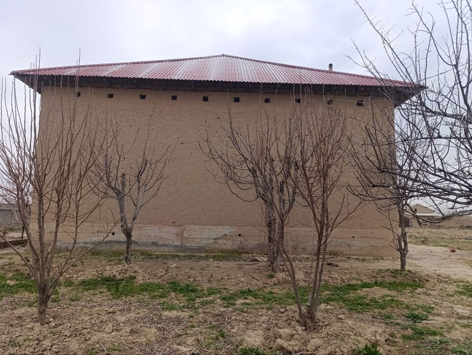 20+20 учаска уйихам бор