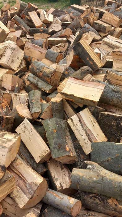 Vând lemne de foc fag crepatura și răritură  detali la tel 0745362981