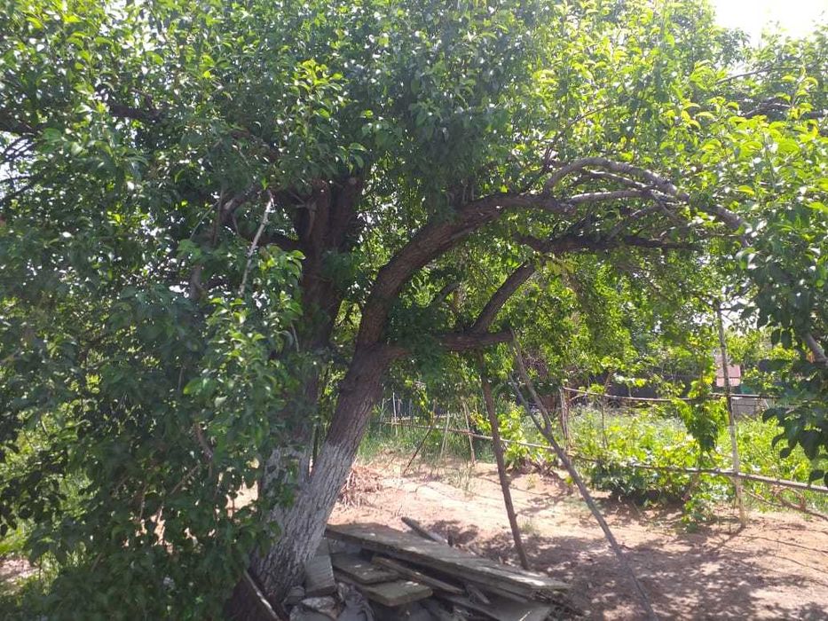 Продам дачу, продаю...