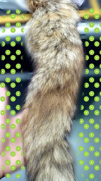 Ека останала ми от едно време -за украса НОВА