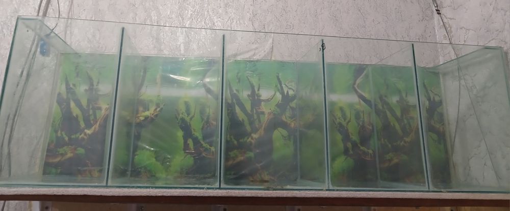 Аквариум секционный