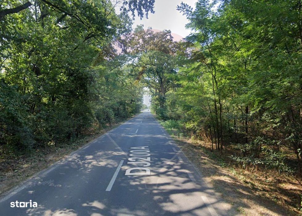 Teren 10,000mp Afumati | Padure | Soseaua Petrachioaia