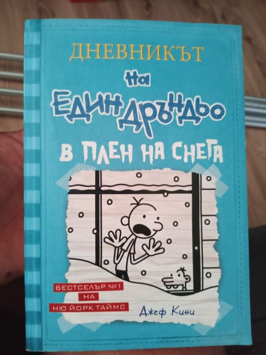 Дневникът на един Дръндьо