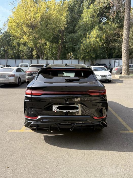 Byd song plus chempion