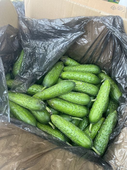 Фрукты и овощи свежий