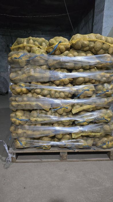 Продавам едри картофи от Сърница