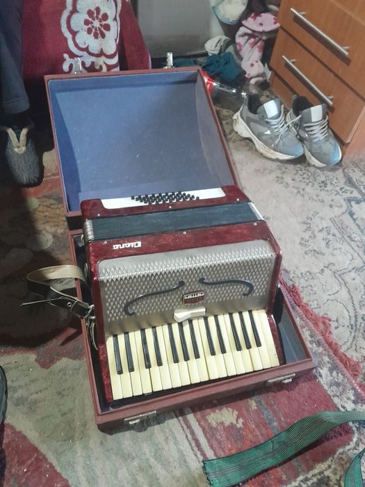 acordeon Timiș vând