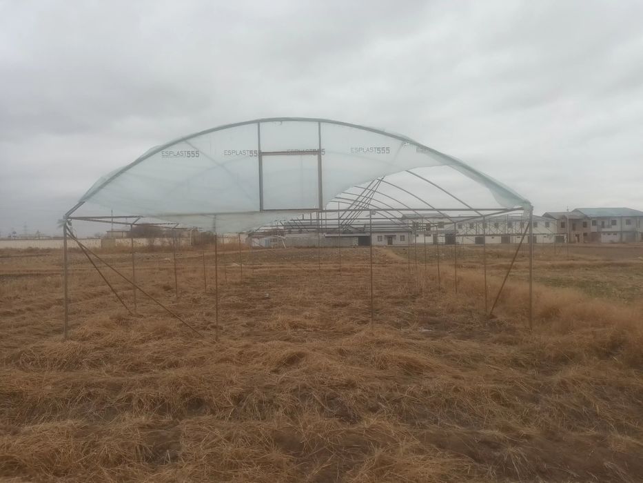 Тайёр парник сотилади