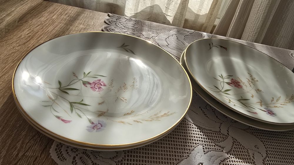 2 вида чинии Hutschenreuther