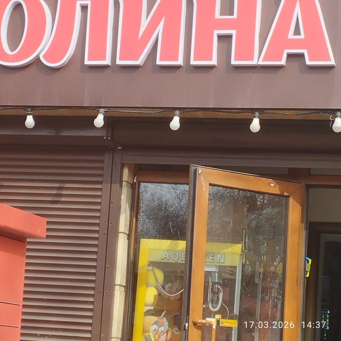 Кто потерял собака сучка молодая