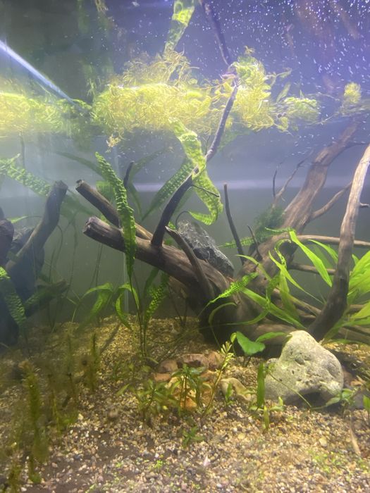 Продам аквариум 160литр