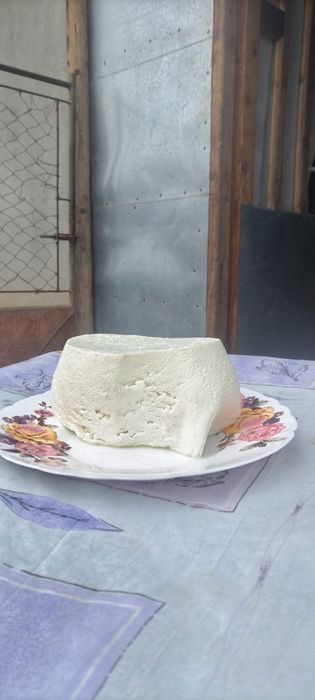 Branza de oaie de vanzare