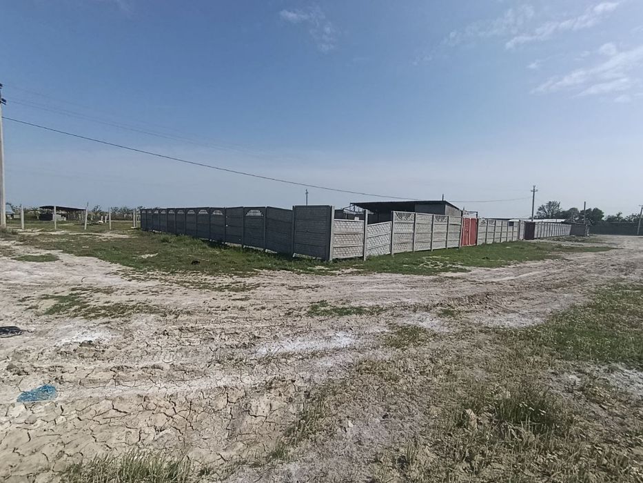 Sirdaryo shahar Adolat MFY da Noturar bino