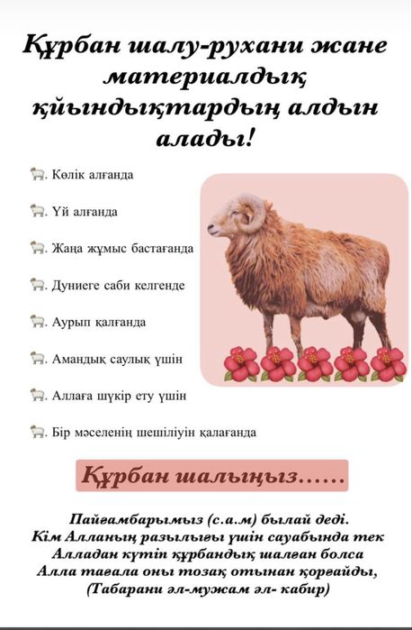 Қайырымдылыққа қой шалдырсаңыз болады. Онлайн. Оффлайн.