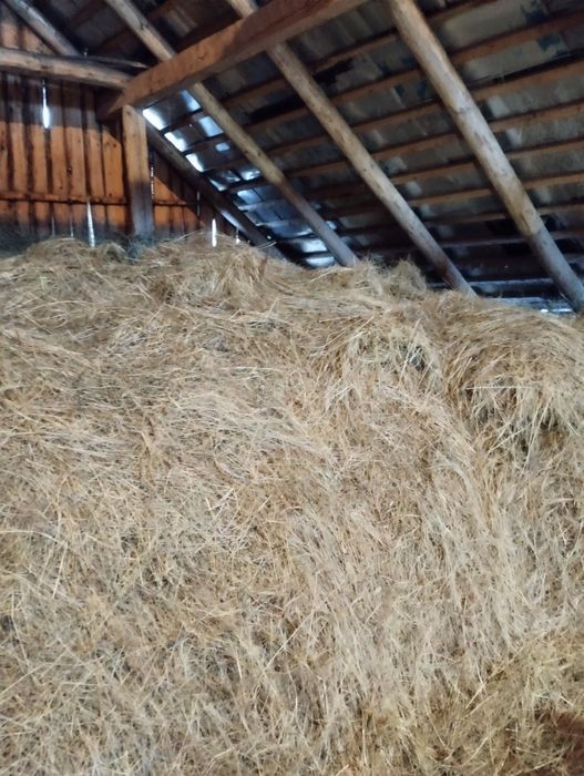 Vând baloți și fân