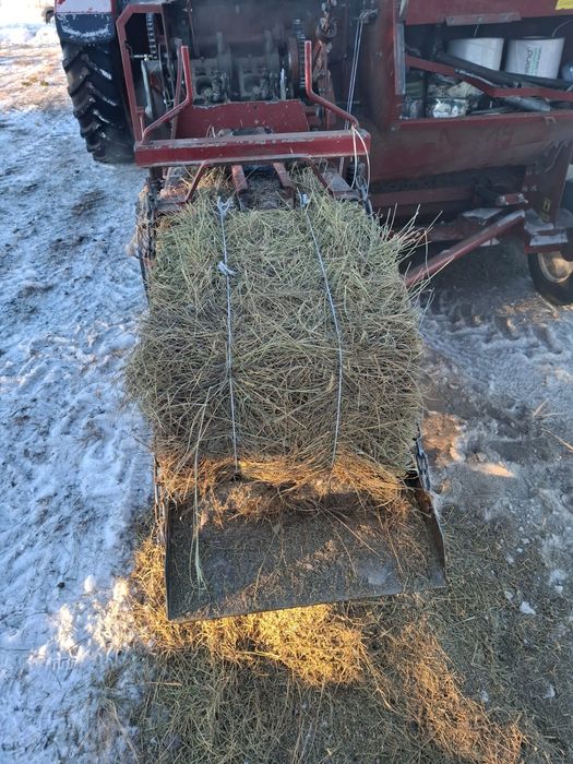 Продам с места сено в тюках