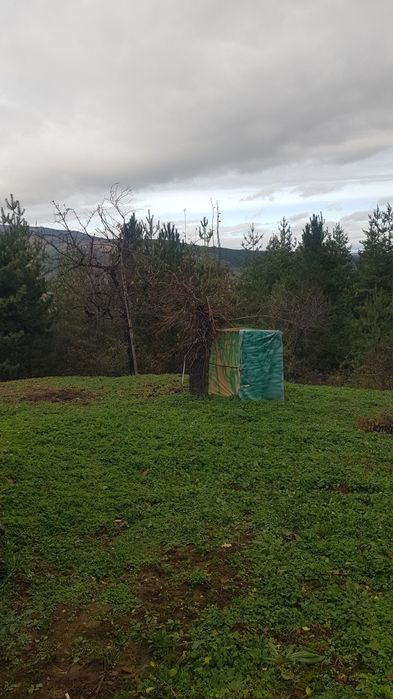 Продава къща в гр.Кюстендил,Гола Велика