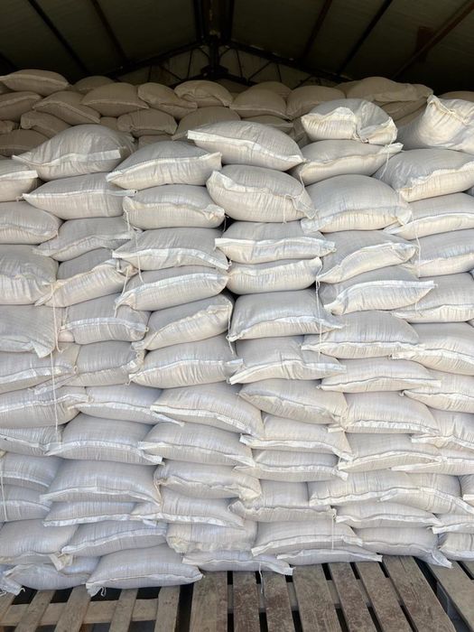 Tarate de grâu sac 20kg