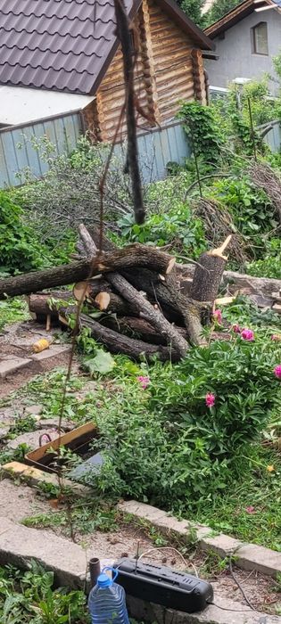 Отдам даром дрова