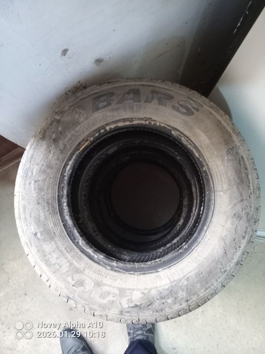 4 дона барс балон холати яхши