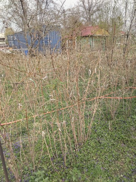 Продажа дачи район исык