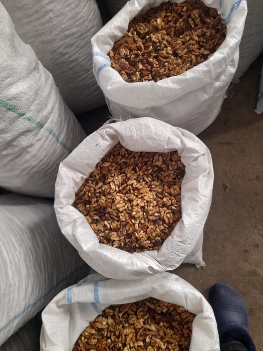 Vand sâmburi de nuca proaspeti