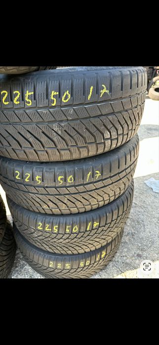 225 50 17 iarna