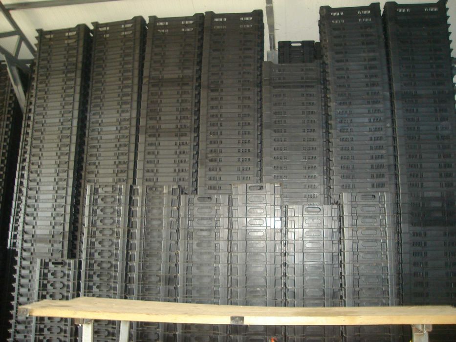 lazi fructe diferite dimensiuni