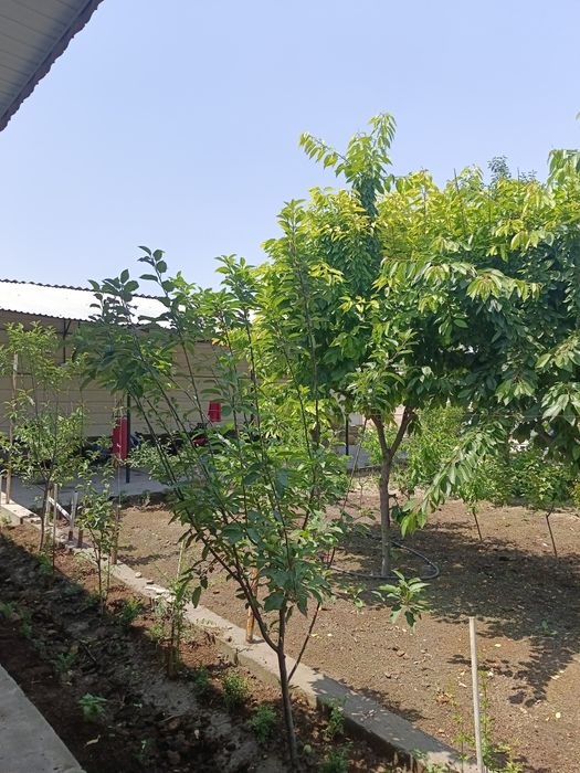 Uy yashnabod tumanida