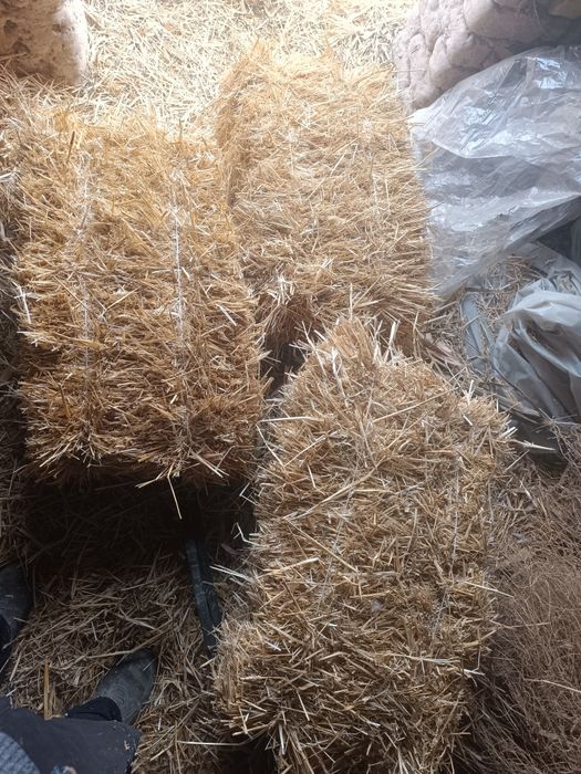 Salom somon pres sotiladi boʻkada