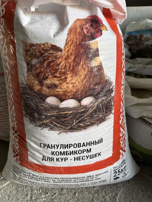 Комбикорм Корм балапандарга