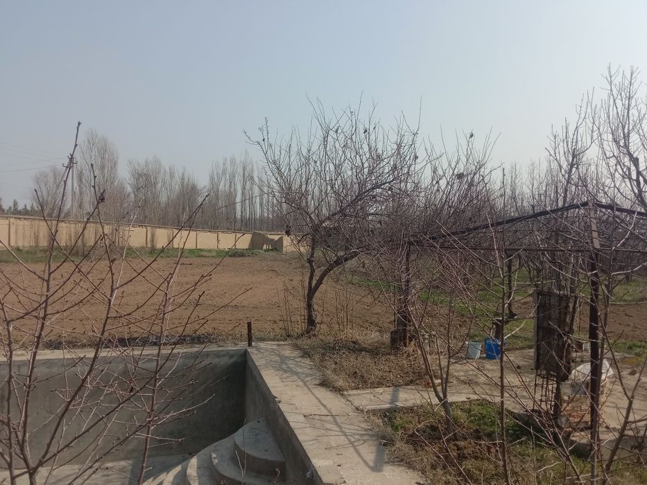 Котта кон Уй сотилади 68 сотих