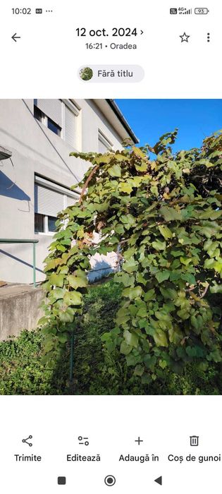 Dau in chirie apartament 2 camere zona Spitalului Judetean
