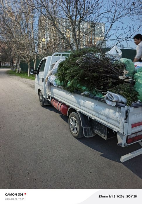 Мусир вывоз Musor musir olib ketish musir tashish musr chiqindi 24/7