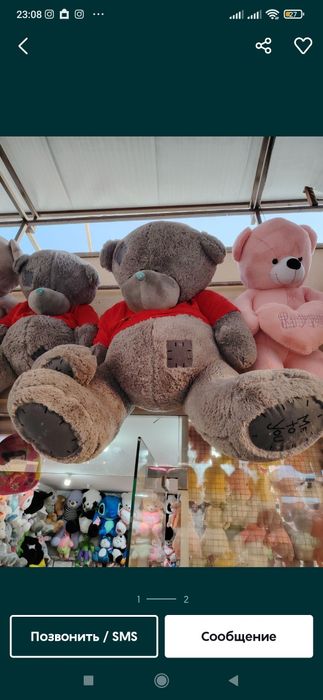 Ayiq Teddi (30sm 3metrgacha)